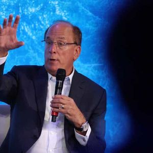 BlackRock's Larry Fink says asset manager had $24M stake in FTX - report
