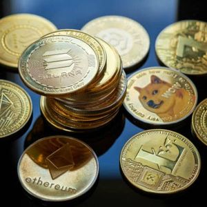 Safety Shot slides after selecting memecoin BONK as its core treasury asset