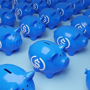 Q3-25 Earnings: Circle's Valuation & Revenue Concentration Problems