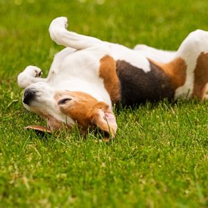 Coinbase: Sell As The Fundamentals And Charts Both Roll Over