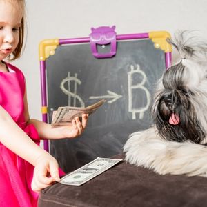 BLOX: Income Will Keep Me Warm During The Crypto Winter