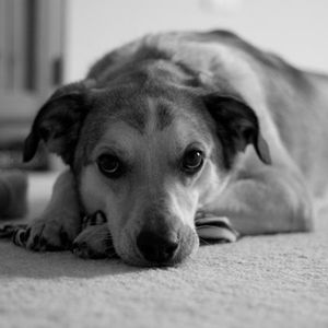 S&P 500 And Bitcoin: After 4 Years Of Mediocrity From The Latter, I Own Both, Here's Why