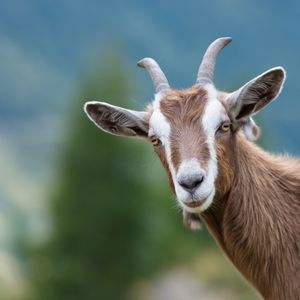 What We Can Learn From Warren Buffett's Mistakes Going Forward