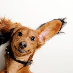 HOOW: Robinhood May Have Bottomed, Time To Buy (Rating Upgrade)