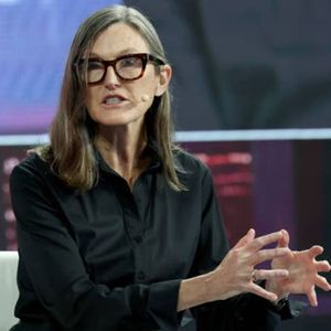 Cathie Wood's Ark Invest buys proteomics company Alamar, Netflix; trims crypto names