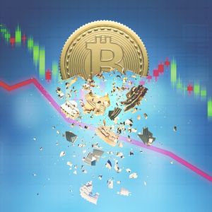 Whale's Insight: Every New Fed Chair, Every Bitcoin Crash