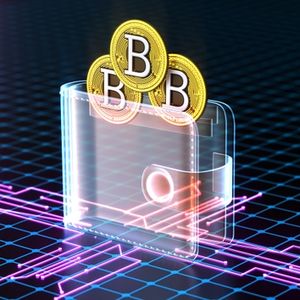Next Technology: Dilution Overpowers Bitcoin Exposure