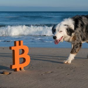BLOX: Blended Portfolio Reduces Crypto Risks