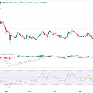Stellar rallies 25% against market fall: Will DTCC backing fuel more upside?