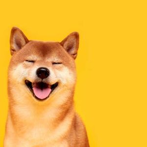 Why did shiba inu USD's price drop today? Look no further than market slump