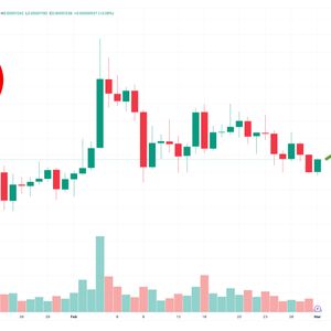 Shiba Inu Price Prediction as $200 Million Trading Volume Comes In – Here's the Next SHIB Price Target