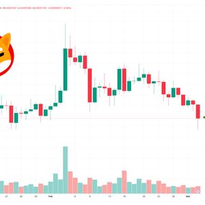 Shiba Inu Price Prediction as $300 Million Trading Volume Floods In – Are Whales Selling SHIB?
