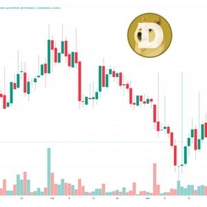 Dogecoin Price Prediction as $500 Million Trading Volume Comes In – Are Whales Buying?