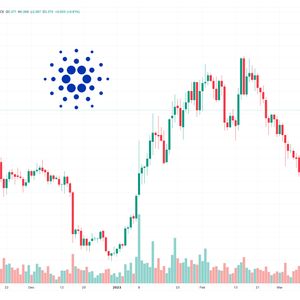 Cardano Price Forecast as ADA Becomes One of the Best-Performing Assets in the Market – Are Whales Buying?