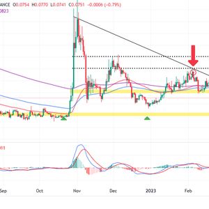 Dogecoin Price Prediction as Burger King Say They 'Need Doge' on Twitter – What's Going On?