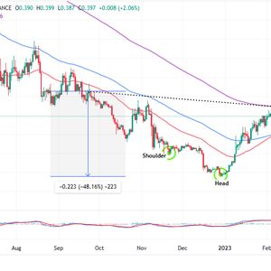 Cardano Price Forecast as ADA Overtakes Dogecoin in Market Capitalization – Are Whales Buying?