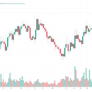Cardano Price Forecast as $500 Million Trading Volume Comes In – Are Whales Buying?