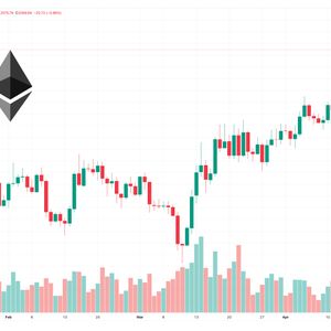 Ethereum Price Can Hit $3,000 This Month, and Ecoterra Can Raise $3 Million – Time to Buy?