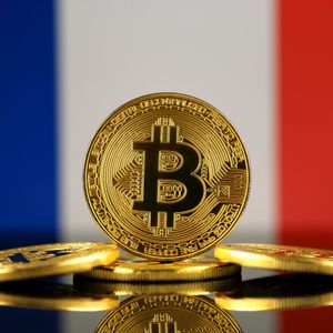 One in 10 French People Own Crypto, Study Finds – Is Adoption Increasing?