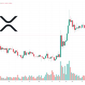 XRP Price Prediction as Unknown Whale Moves 30 Million XRP into New Wallet – What's Going On?