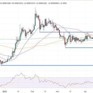 Shiba Inu Price Prediction as New Neo-Banking App Adds Support for SHIB – Time to Buy?
