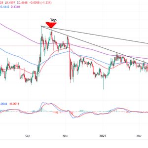 XRP Price Prediction as $800 Million Trading Volume Sends XRP into the Green – Are Whales Buying