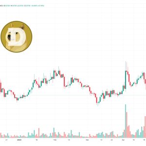 Dogecoin Price Prediction as $600 Million Trading Volume Comes In But Whales Say SPONGE is a Better Buy
