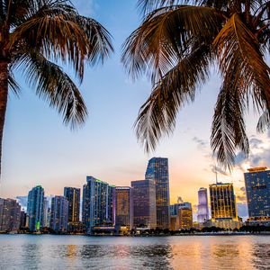 Miami's Enthusiasm for Crypto Wanes Ahead of Annual Bitcoin Conference