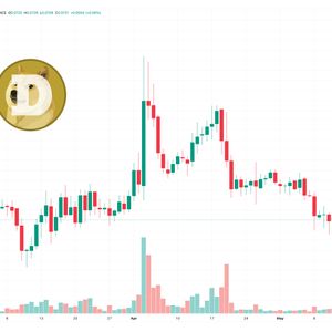 Dogecoin Price Prediction as $250 Million Trading Volume Comes In – Time to Buy?