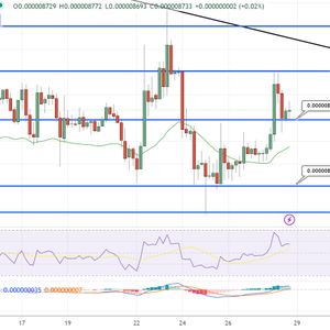 Shiba Price Prediction as Coin Gains 3% in 24 Hours – Will US Debt Ceiling Deal Propel SHIB to $1?