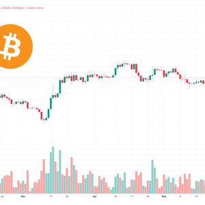 Bitcoin Price Bounces From 21 Weekly EMA - Risk on For Low Market Cap Tokens & Meme Coins?