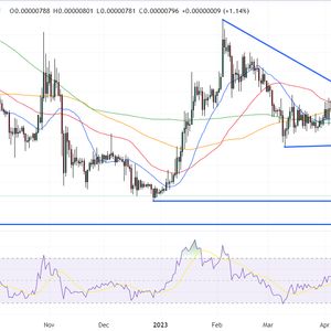 Shiba Inu Price Prediction as $100 Million Trading Volume Comes In as Crypto Prices Recover – Here's Where SHIB is Heading Now