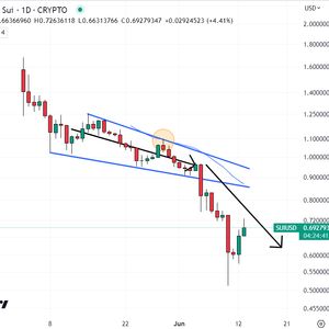 Is It Too Late to Buy Sui? SUI Price Bounces 34% From Recent Bottom and This New Penny Crypto Could Reach $1 Million Soon – What Does it Do?