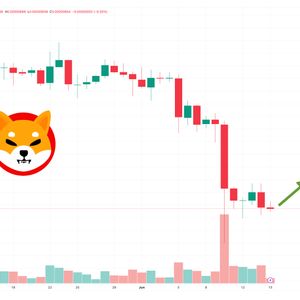 Shiba Inu Price Prediction as $100 Million Trading Volume Comes In – Are Whales Buying SHIB at This Level?