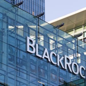 BlackRock Executive Stresses Importance of Knowing Counterparties in DeFi for Institutional Engagement
