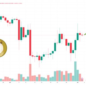 Dogecoin is Going to Zero as Crypto Experts Shift Their Attention to This New Meme Coin – $250,000 Raised Already