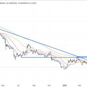 Flow Price Prediction as $300 Million Pushes FLOW Up 35% – What's Going On?