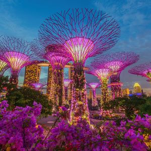 Singapore's Monetary Authority Enforces Crypto Lending and Staking Ban for Retail Investors