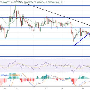 Terra Luna Classic Price Prediction as LUNC Reaches $500 Million Market Capitalization – Time to Buy?