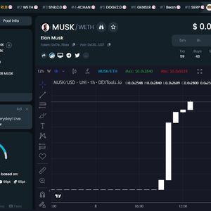 Elon Musk Crypto ($MUSK) is Uniswap's Biggest Gainer Today - But Has a Blacklist Function