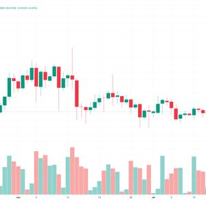 XRP Price Prediction as $600 Million Trading Volume Keeps XRP Above $0.47 – Are Whales Accumulating?