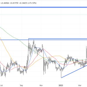 XRP Falls Short of $1, But This Coin Can Hit $5, Raises $14.5 Million