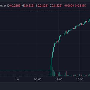 WALTER2.0 Coin Rockets Up 30,000% But Crypto Experts Are Accumulating These Other Coins Instead - Here's Why