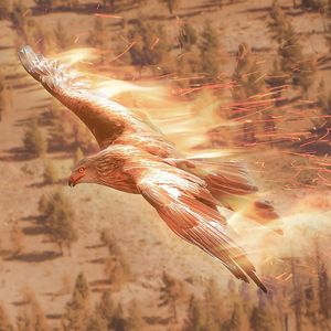 As PhoenixInu Token Rises 10,000%, Crypto Whales are Accumulating This Other Meme Coin Before it Lists on Exchanges – Here's Why