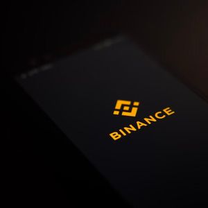 Binance Token Faces Growing Pessimism in Crypto Derivatives Market