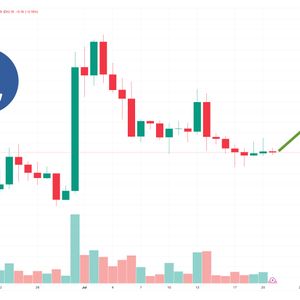Litecoin Price Prediction as LTC Trading Volume Surges Past $800 Million – Are Whales Buying?