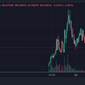 COCKFIGHTS Price Pumps 20,000% in 24 Hours But Experts Are Accumulating WSM for the Next Crypto to Explode - Here’s Why