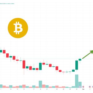 Bitcoin SV Price Prediction as BSV Becomes Best Performing Coin on the Market – Can BSV Overtake Bitcoin?