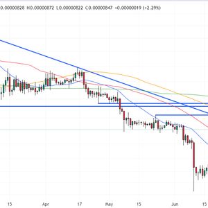 Shiba Inu Price Prediction as $150 Million Trading Volume Comes In – Are Whales Buying?