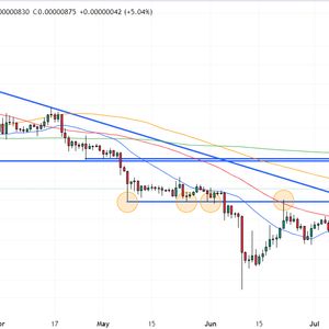 Shiba Inu Price Prediction as SHIB Rallies 5% on Binance Collateral Announcement – Could A Break Above This Key Level Spark Next Bull Run?